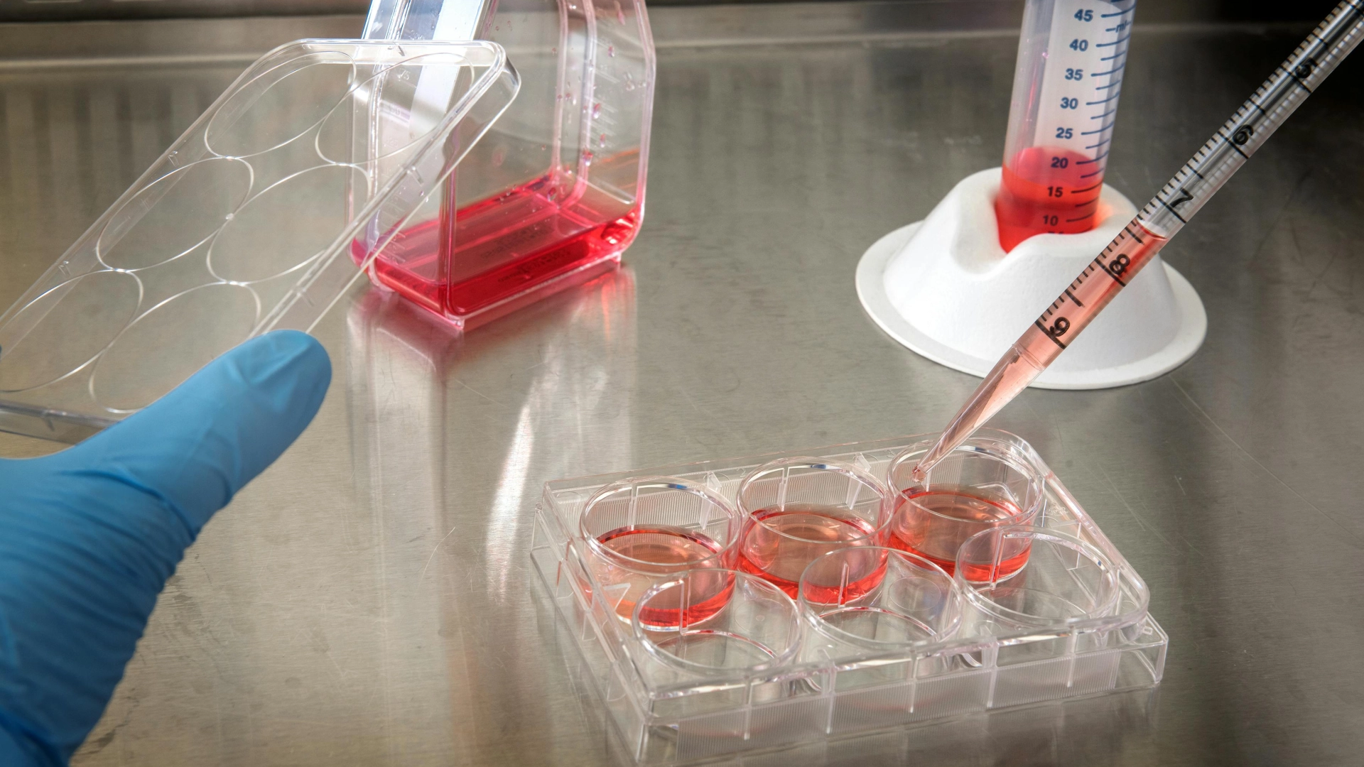 Experimental Biophysics: Cell Lines