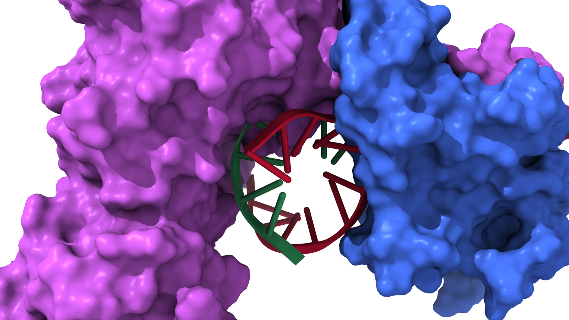 Computational Biophysics
