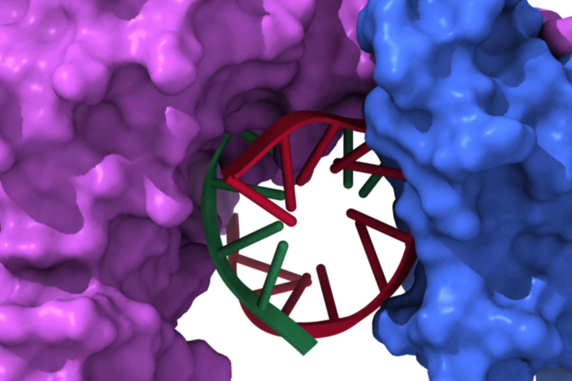 Computational Biophysics
