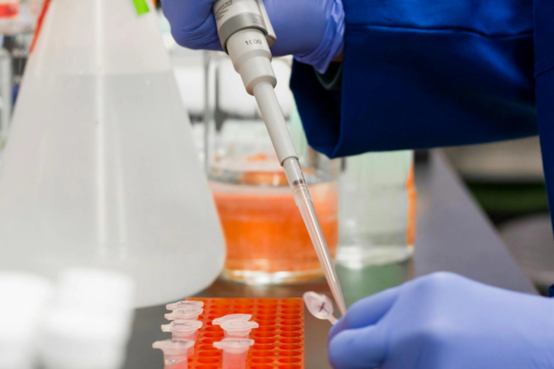 Experimental Biophysics