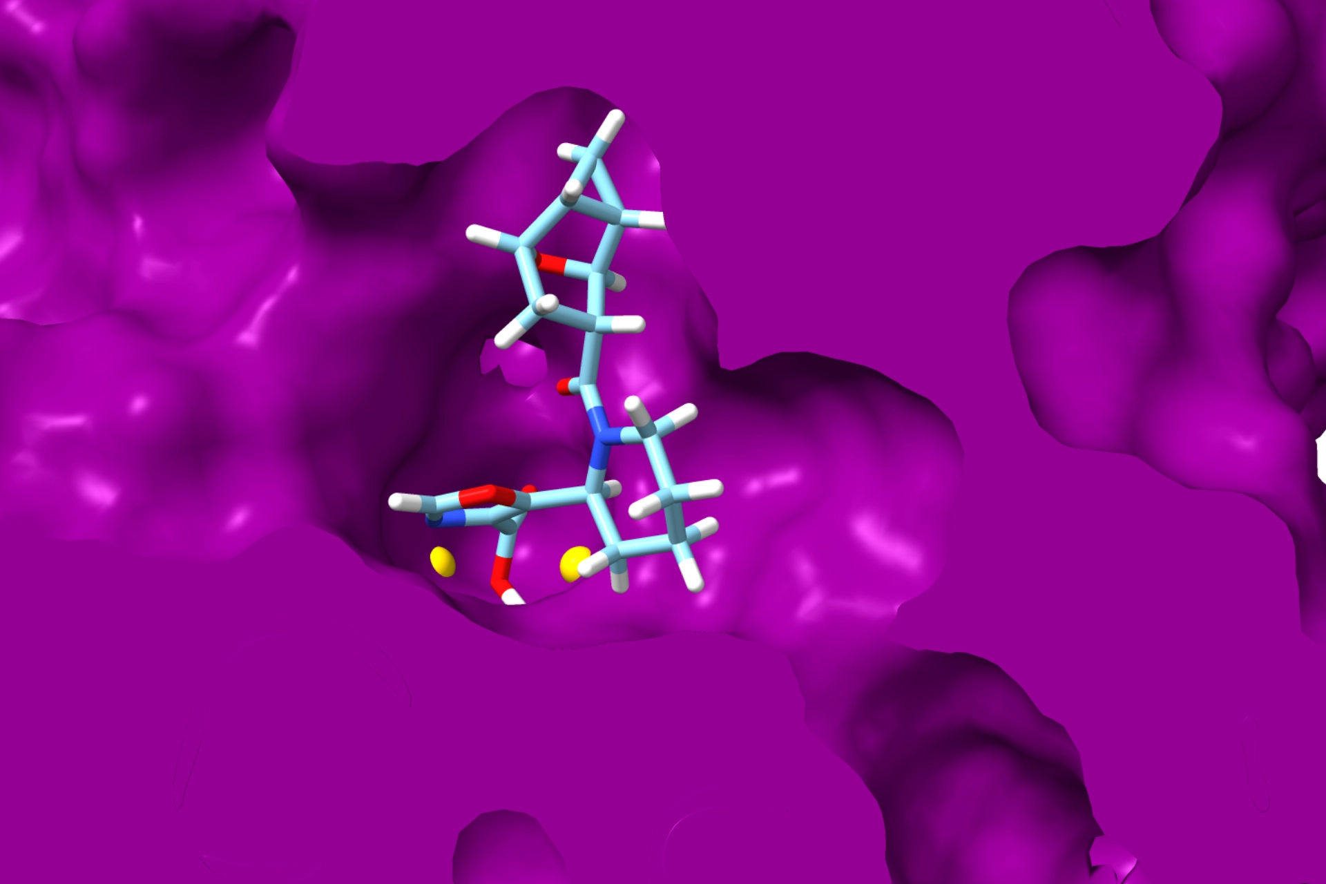 Urease Inhibition